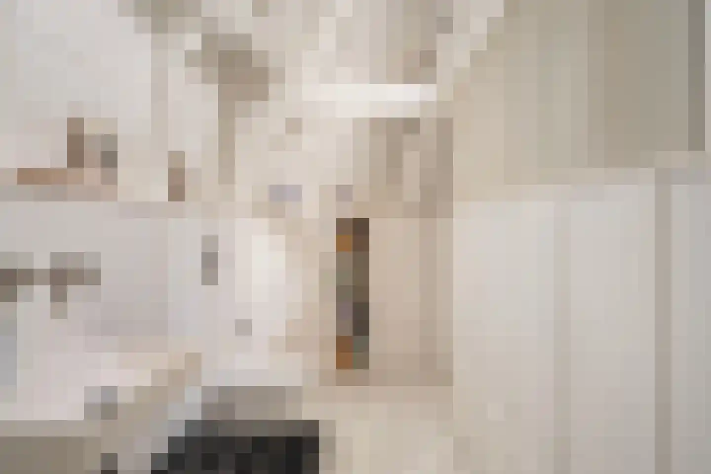 Rust en Vreugdlaan 1 A Wassenaar thumbnail 32