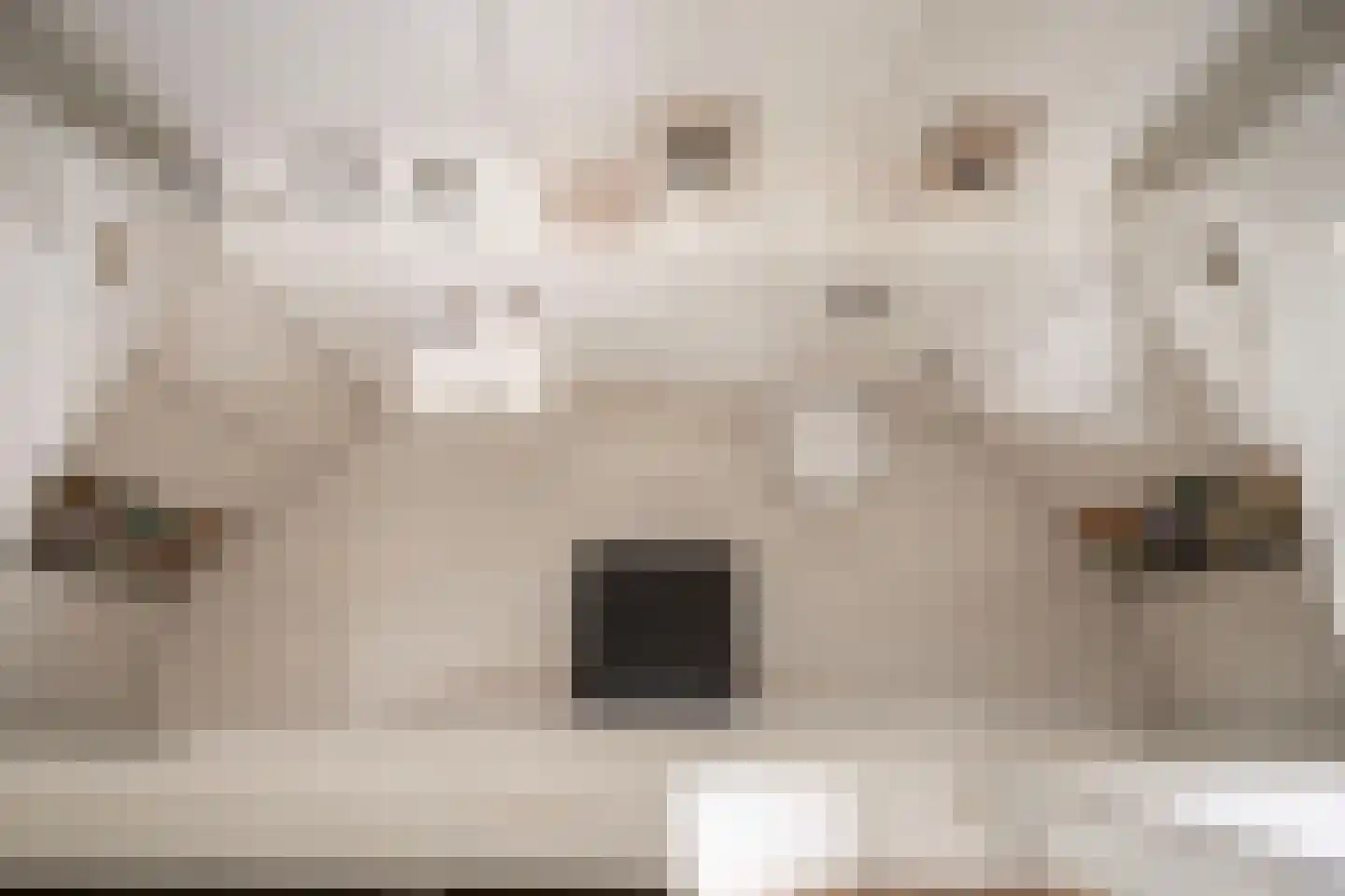 Rust en Vreugdlaan 1 A Wassenaar thumbnail 36