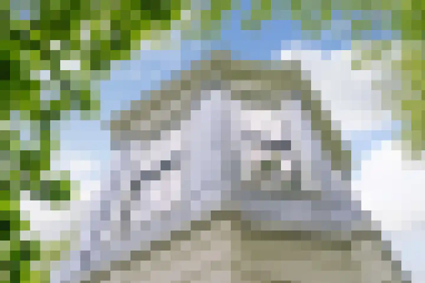 Rust en Vreugdlaan 1 A Wassenaar thumbnail 4