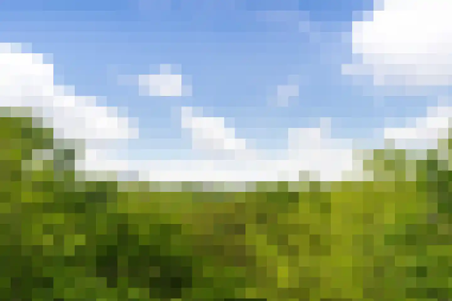 Rust en Vreugdlaan 1 A Wassenaar thumbnail 43