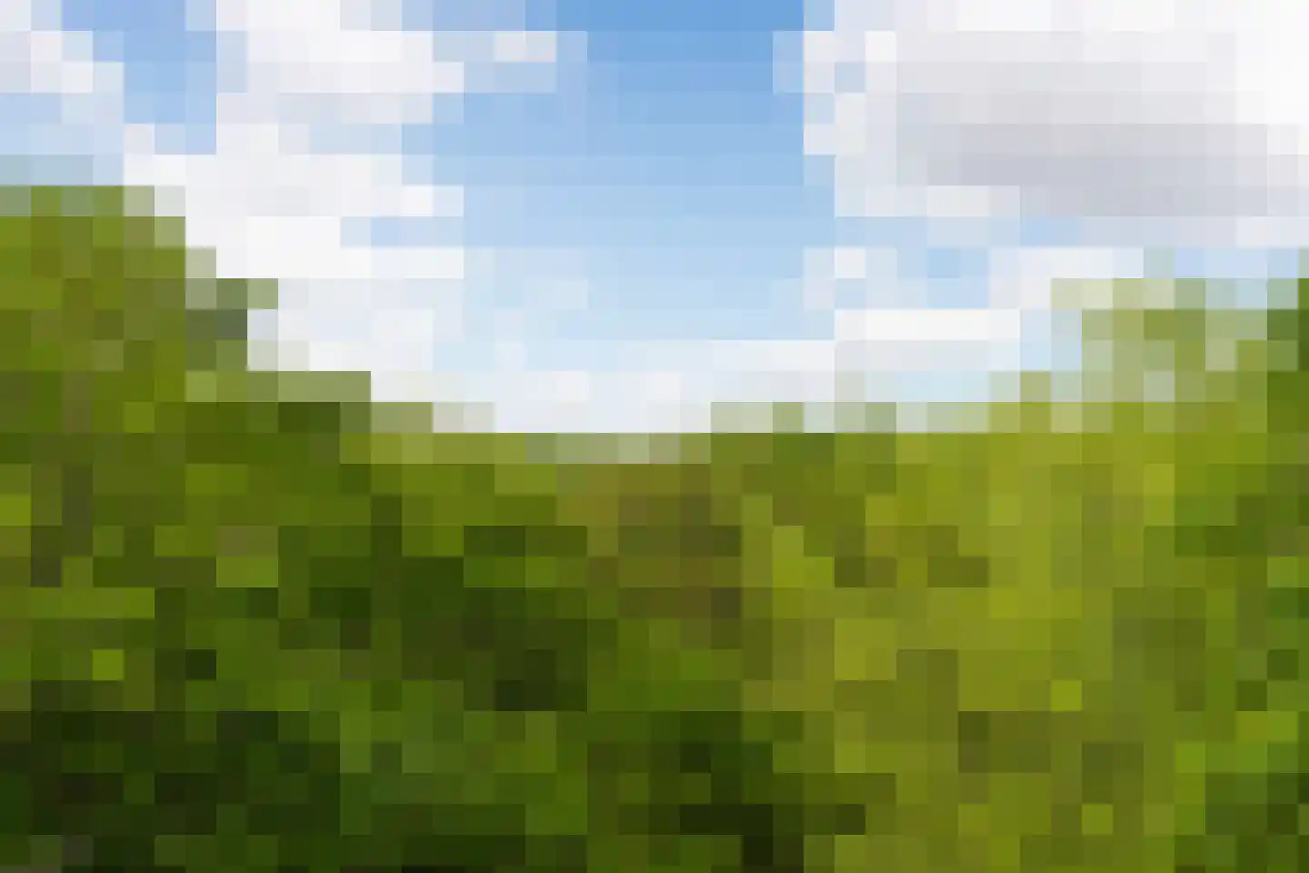 Rust en Vreugdlaan 1 A Wassenaar thumbnail 44