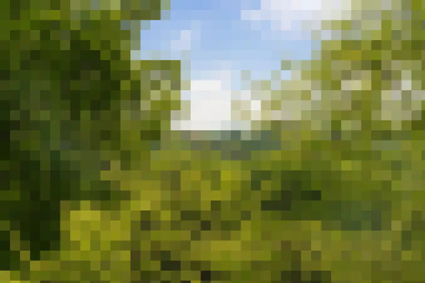 Rust en Vreugdlaan 1 A Wassenaar thumbnail 45