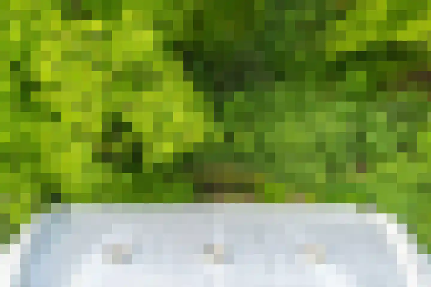 Rust en Vreugdlaan 1 A Wassenaar thumbnail 46