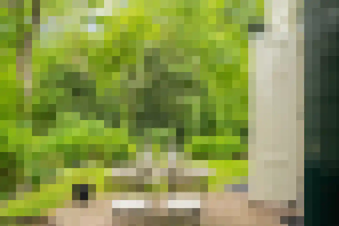Rust en Vreugdlaan 1 A Wassenaar thumbnail 49