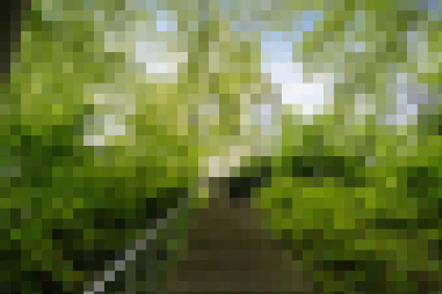 Rust en Vreugdlaan 1 A Wassenaar thumbnail 5