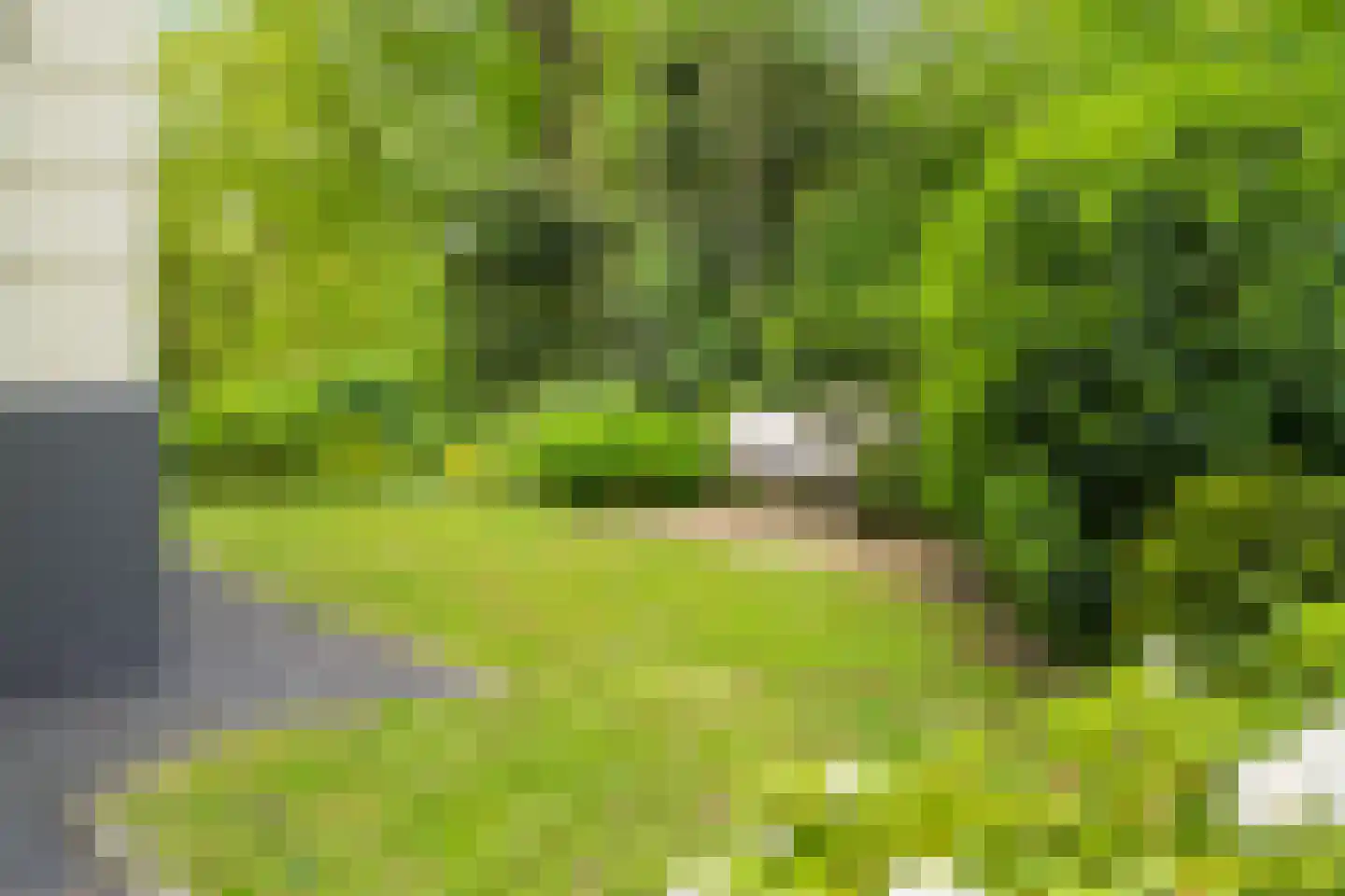 Rust en Vreugdlaan 1 A Wassenaar thumbnail 50