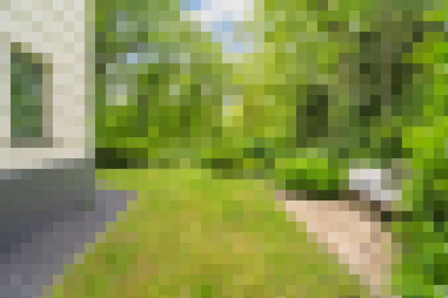 Rust en Vreugdlaan 1 A Wassenaar thumbnail 51