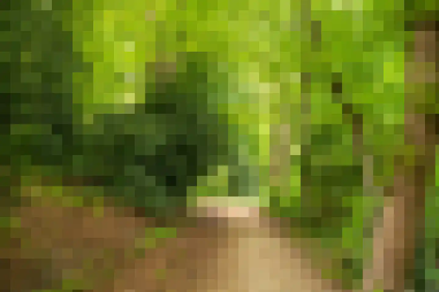 Rust en Vreugdlaan 1 A Wassenaar thumbnail 52