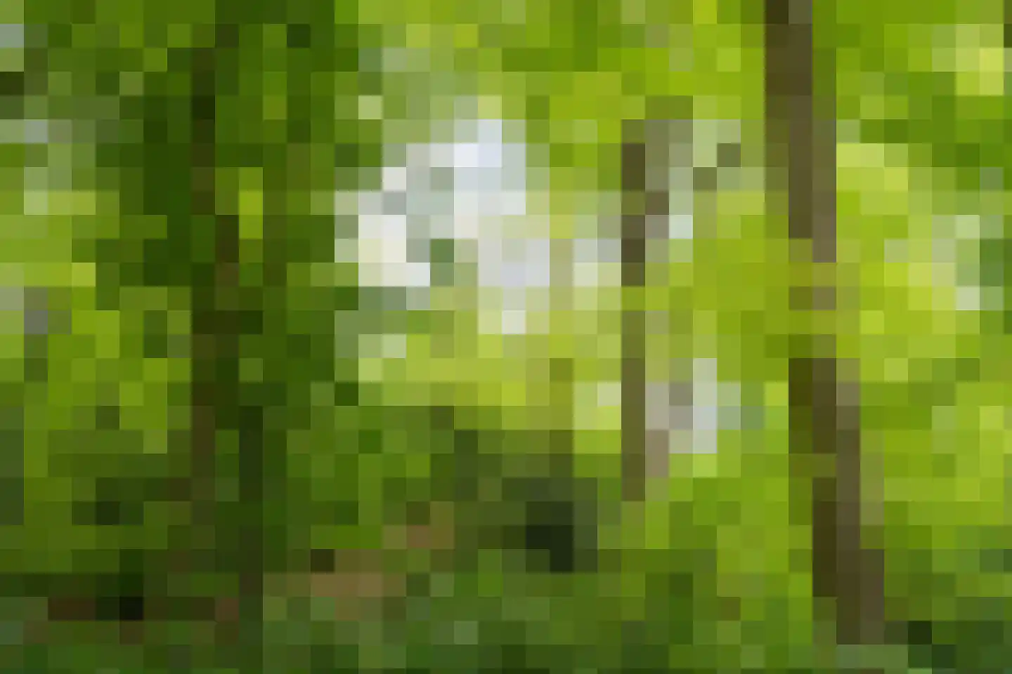 Rust en Vreugdlaan 1 A Wassenaar thumbnail 54