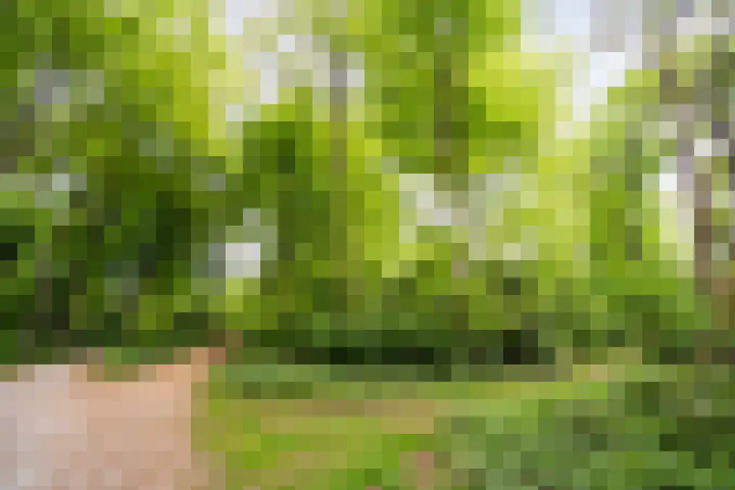 Rust en Vreugdlaan 1 A Wassenaar thumbnail 55