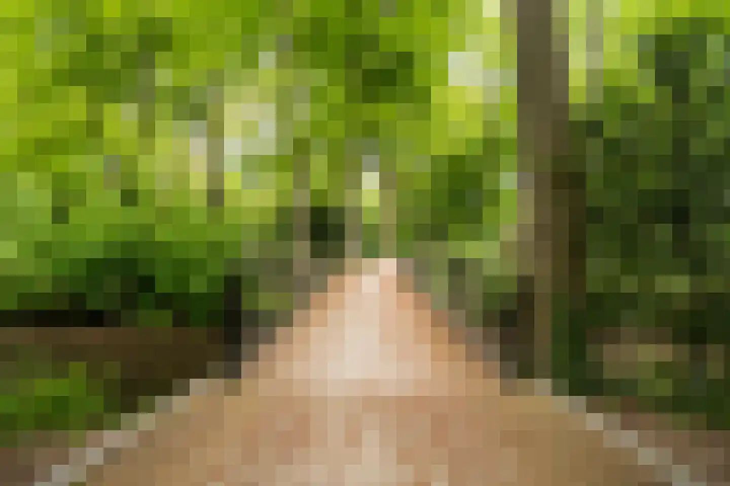 Rust en Vreugdlaan 1 A Wassenaar thumbnail 56