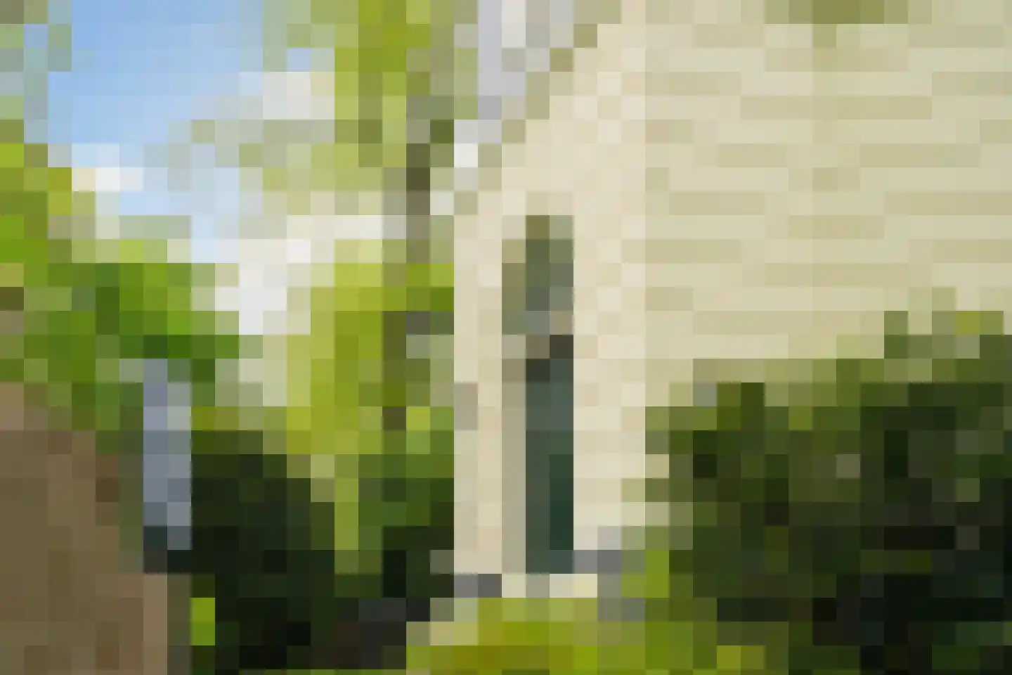 Rust en Vreugdlaan 1 A Wassenaar thumbnail 6