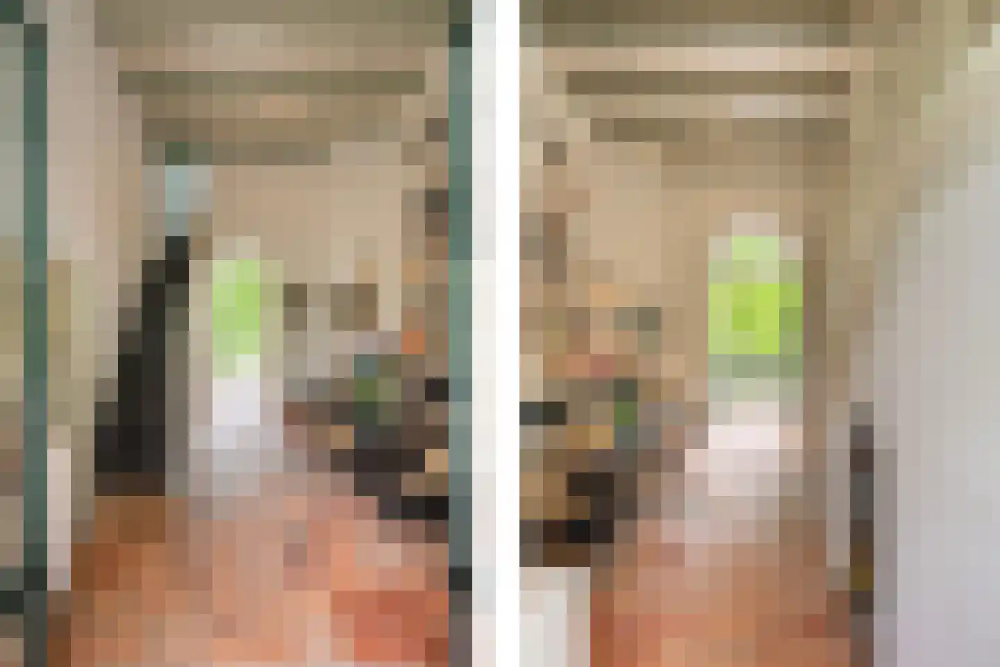 Rust en Vreugdlaan 1 A Wassenaar thumbnail 9