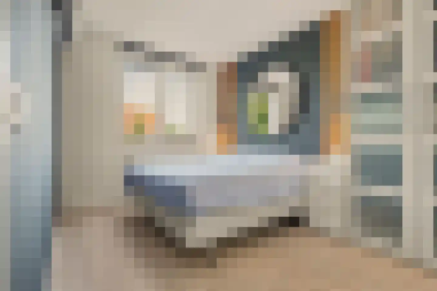 Rustburg 1 Oud-Beijerland thumbnail 12