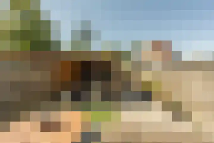 Rustburg 2 Oud-Beijerland thumbnail 36