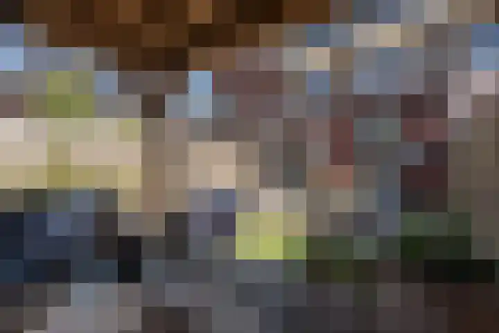 Rustburg 2 Oud-Beijerland thumbnail 37