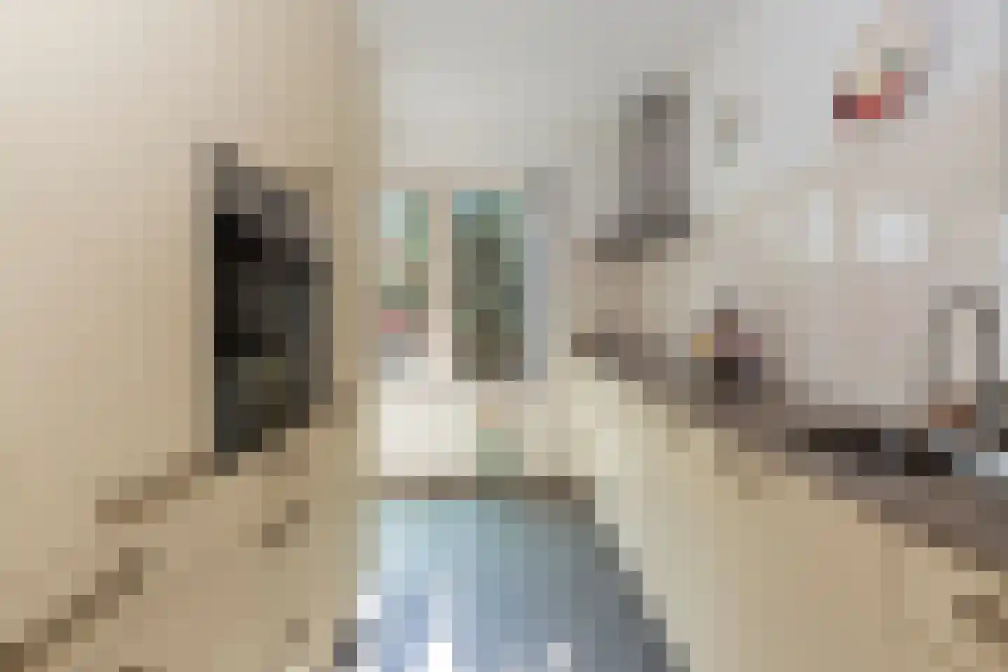 Rustburg 32 Ouddorp thumbnail 15