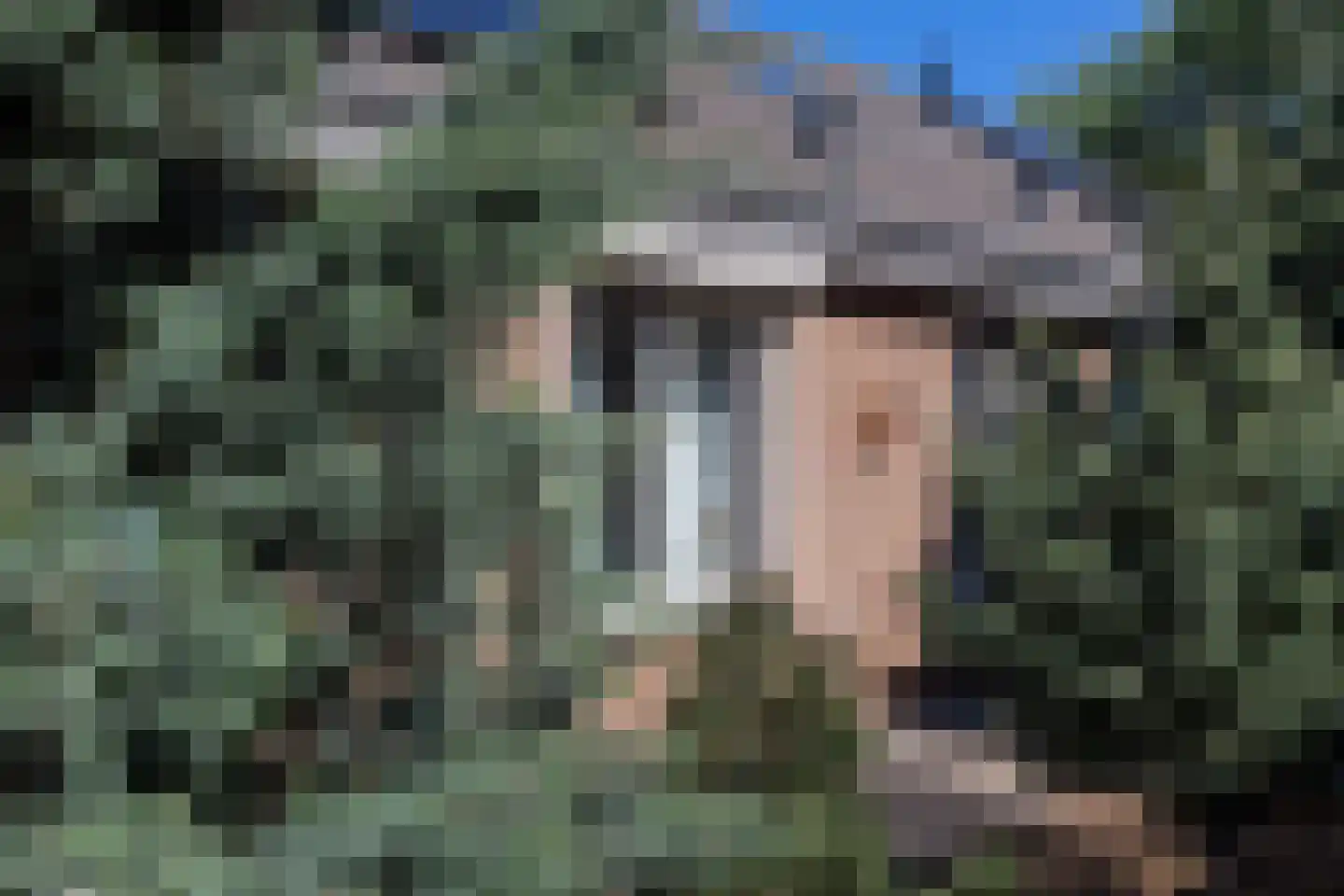 Rustburg 32 Ouddorp thumbnail 4