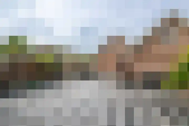 Rustburg 34 Ouddorp thumbnail 31