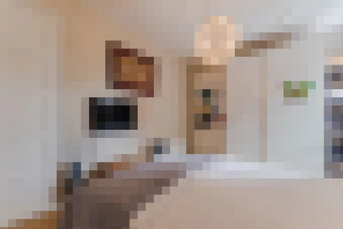 Rustenborchdreef 78 Oegstgeest thumbnail 27