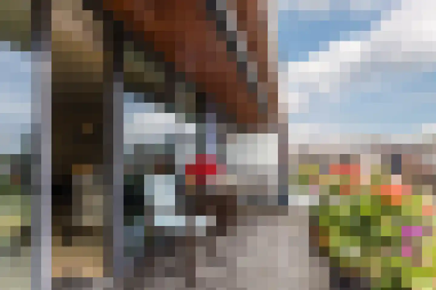 Rustenborchdreef 78 Oegstgeest thumbnail 31
