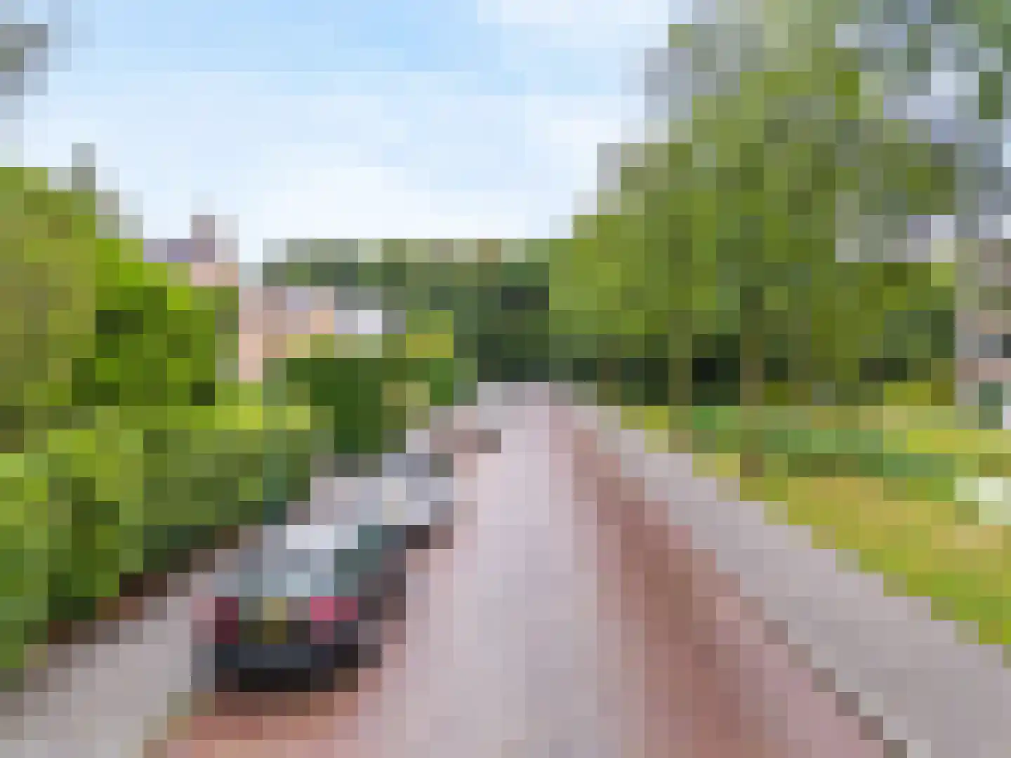 Rustenborchdreef 96 Oegstgeest thumbnail 36