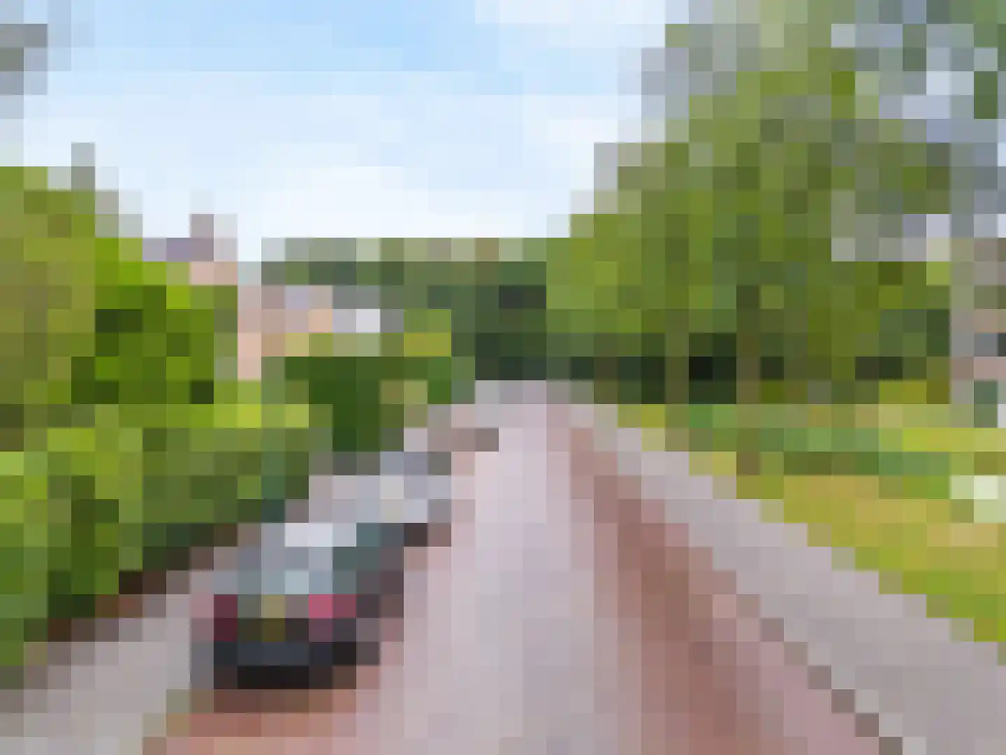 Rustenborchdreef 96 Oegstgeest thumbnail 37