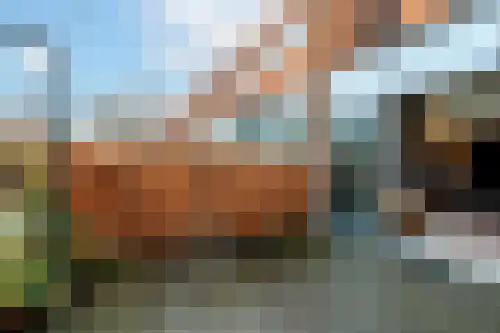 Rustenburg 10 Schiedam thumbnail 19