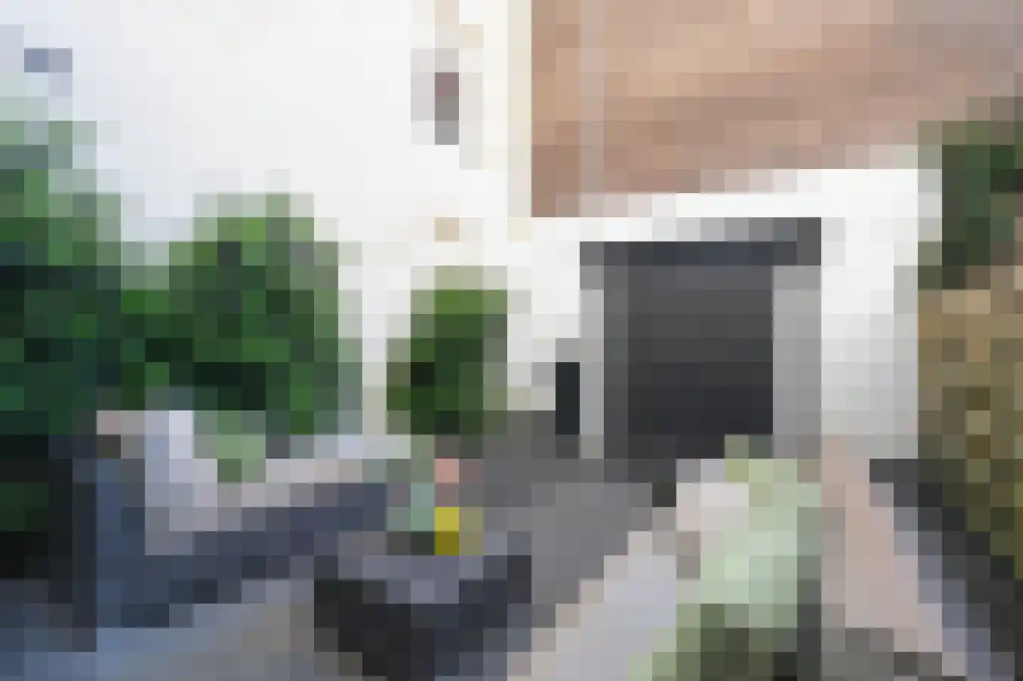 Rustenburgerdwarsstraat 12 2 Amsterdam thumbnail 9