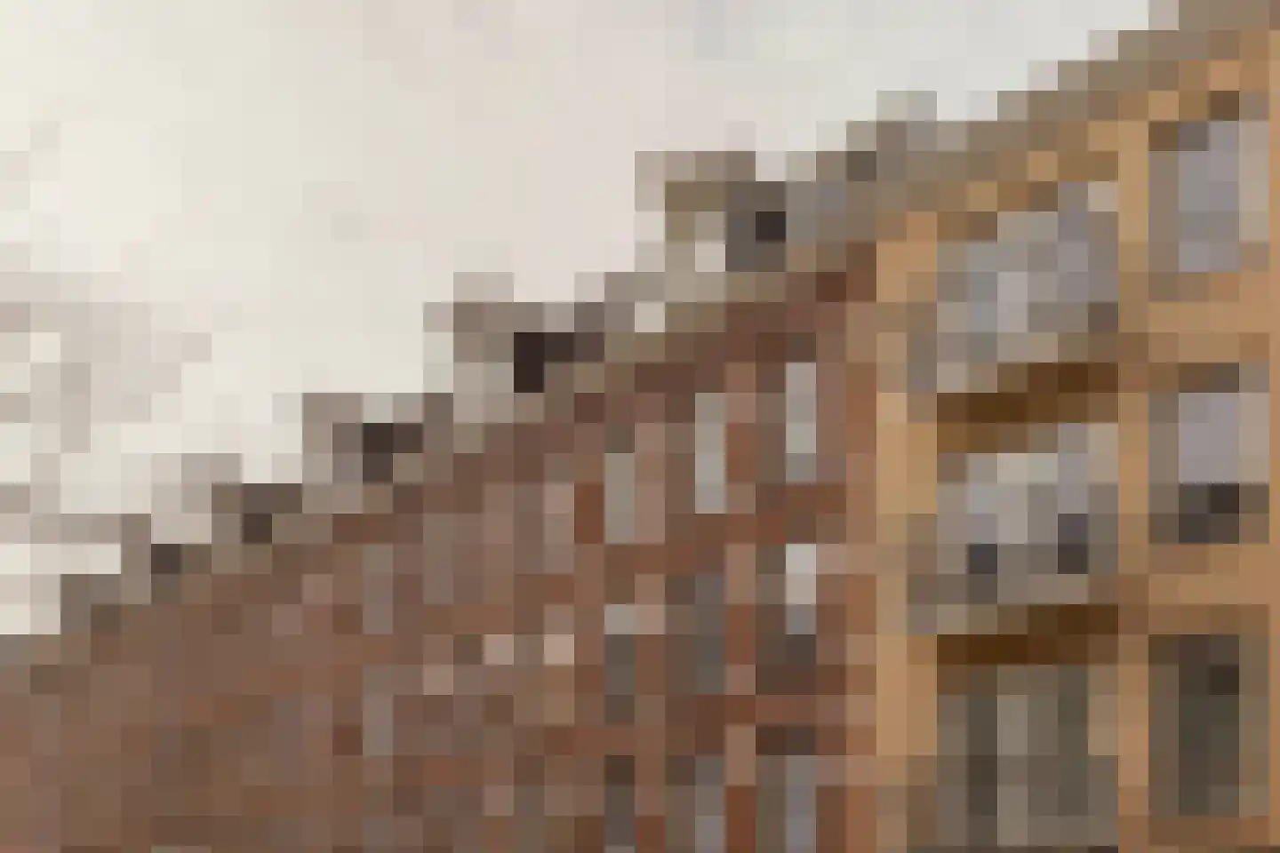 Rustenburgerdwarsstraat 2 L Amsterdam thumbnail 23