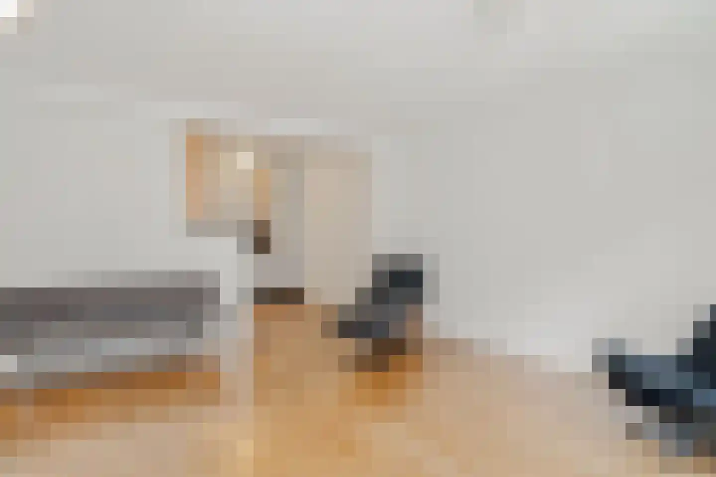 Rustenburgerdwarsstraat 2 M Amsterdam thumbnail 11