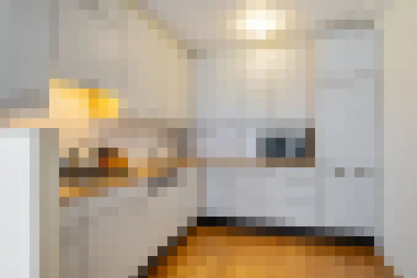 Rustenburgerdwarsstraat 2 M Amsterdam thumbnail 12
