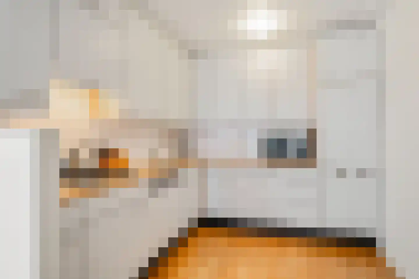 Rustenburgerdwarsstraat 2 M Amsterdam thumbnail 12