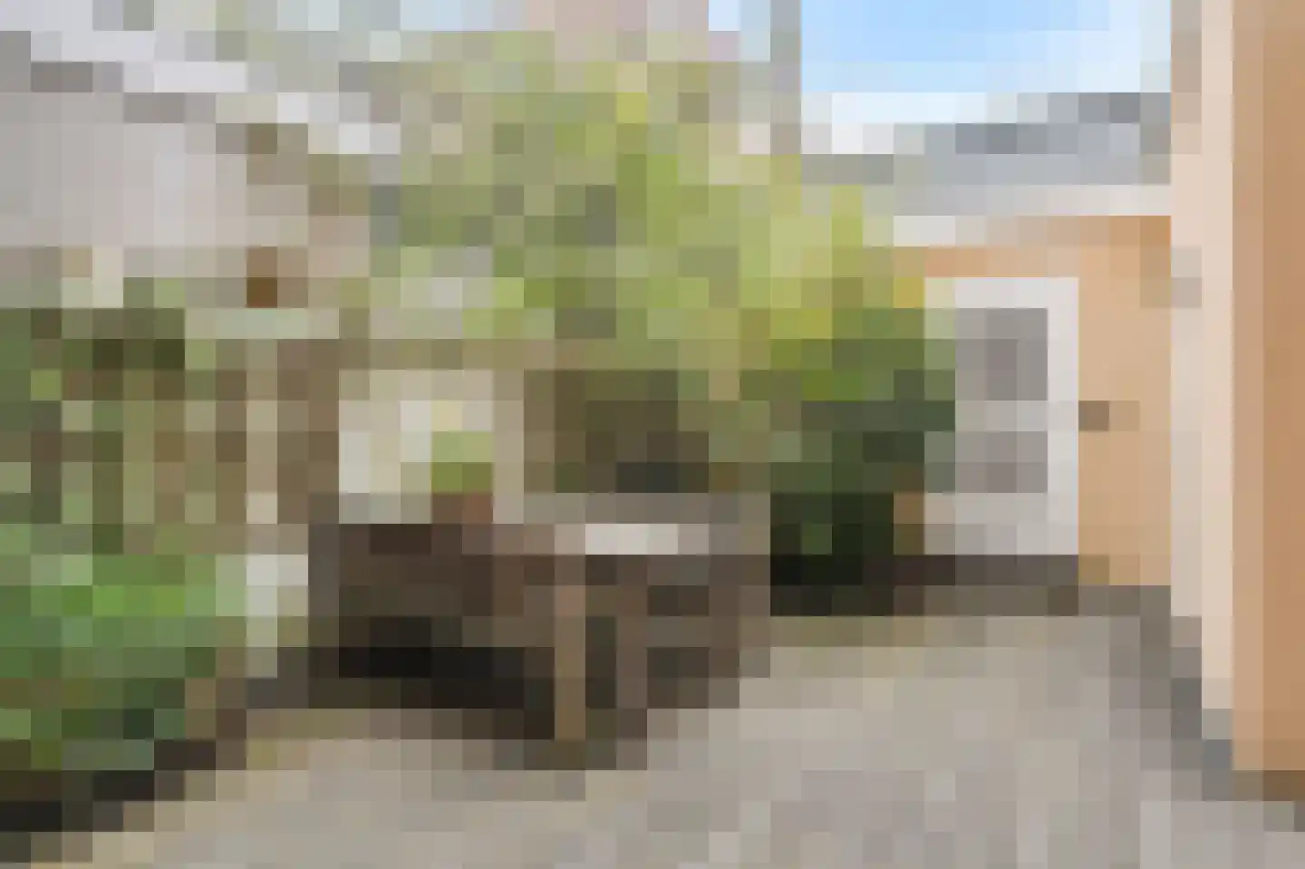 Rustenburgerdwarsstraat 2 M Amsterdam thumbnail 4