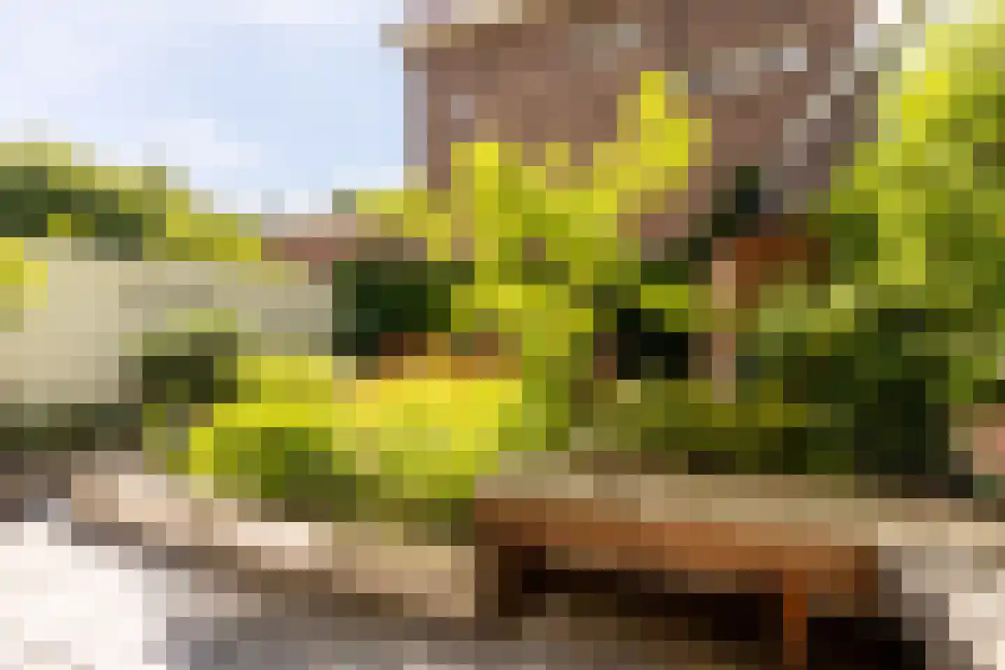 Rustenburgerlaan 40 Haarlem thumbnail 17