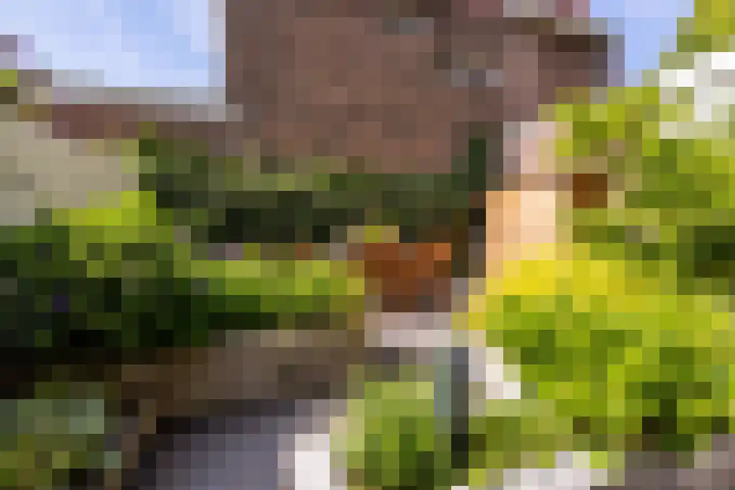 Rustenburgerlaan 40 Haarlem thumbnail 18