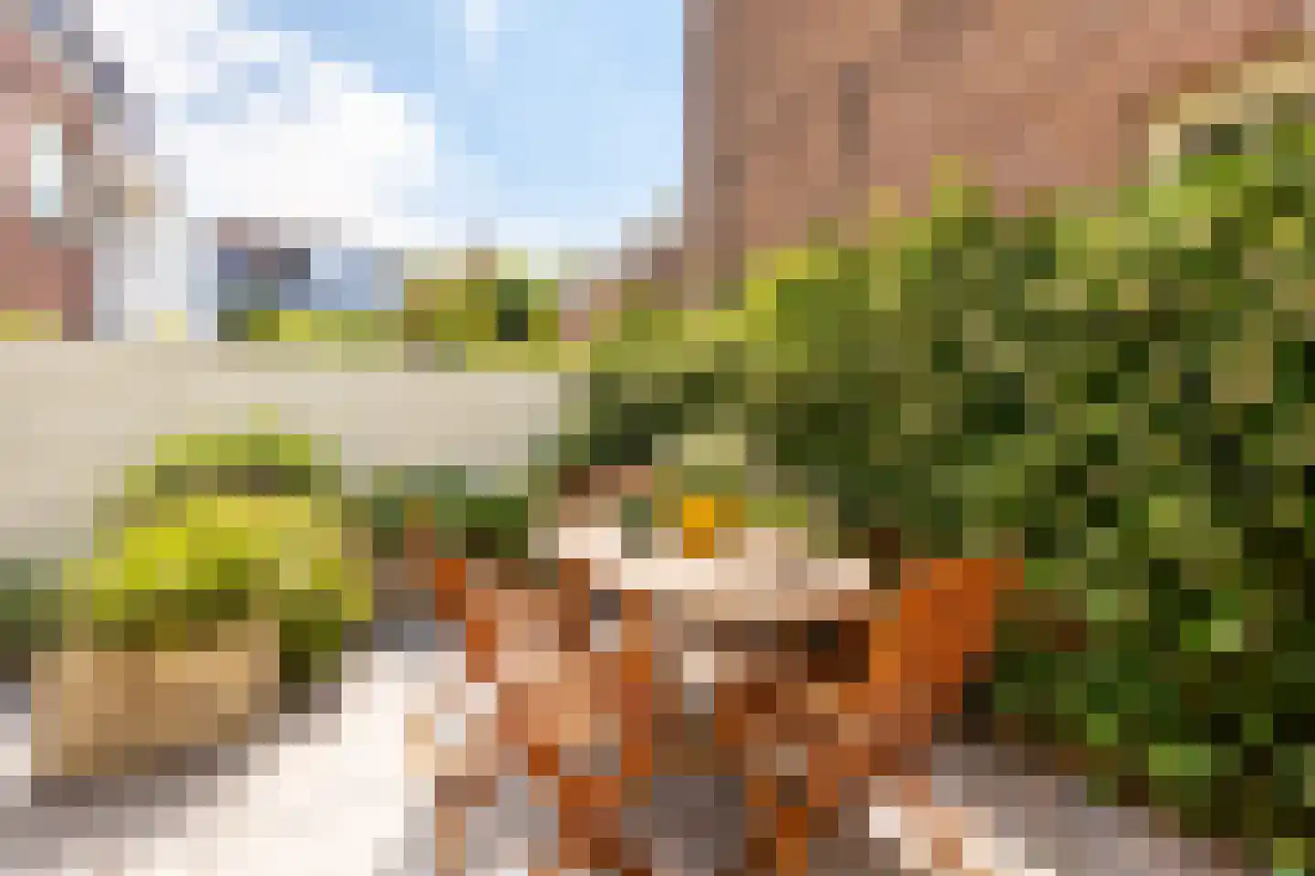 Rustenburgerlaan 40 Haarlem thumbnail 19