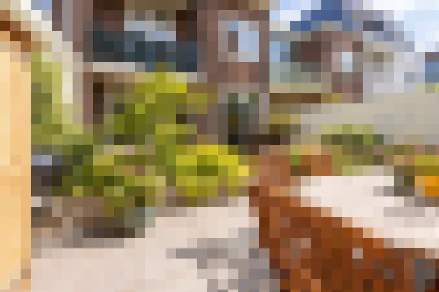 Rustenburgerlaan 40 Haarlem thumbnail 20