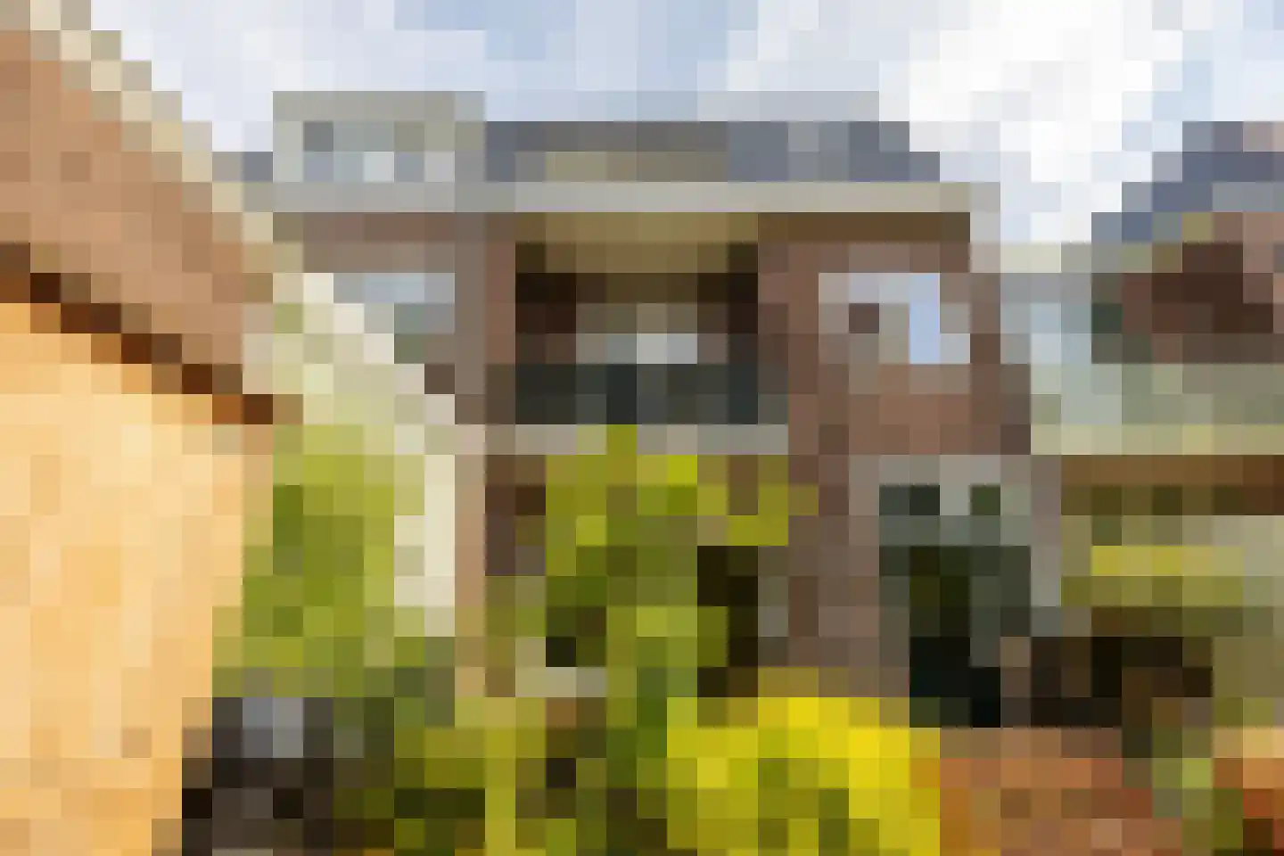 Rustenburgerlaan 40 Haarlem thumbnail 21