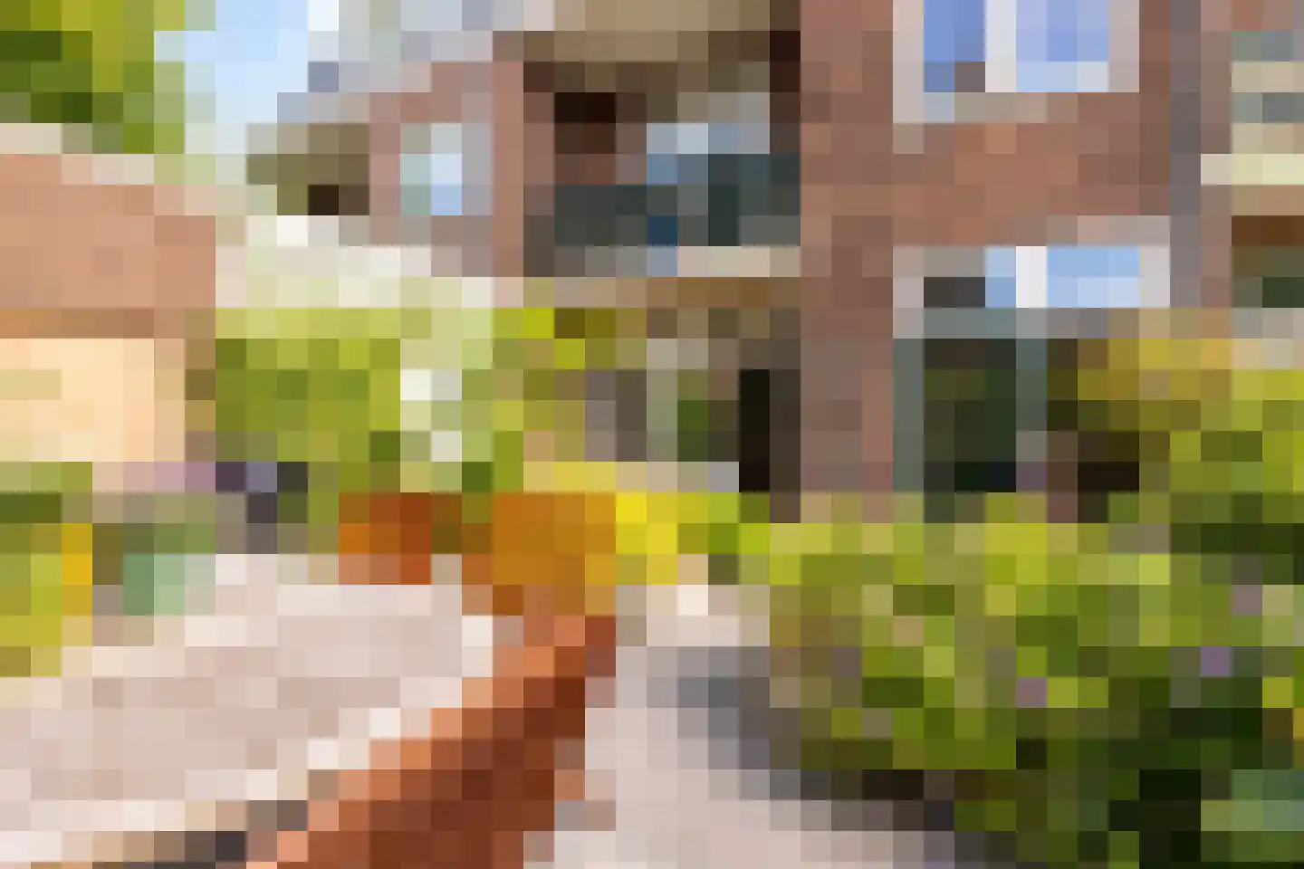 Rustenburgerlaan 40 Haarlem thumbnail 22