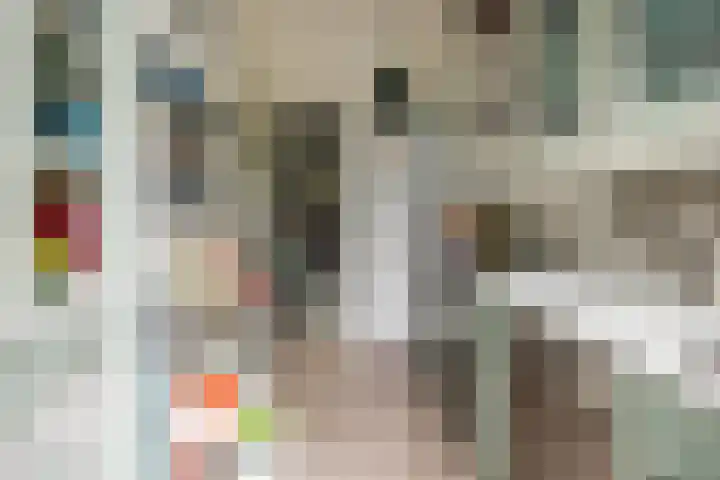 Rustenburgerlaan 42 Haarlem thumbnail 13