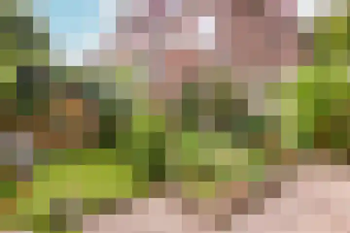 Rustenburgerlaan 42 Haarlem thumbnail 14