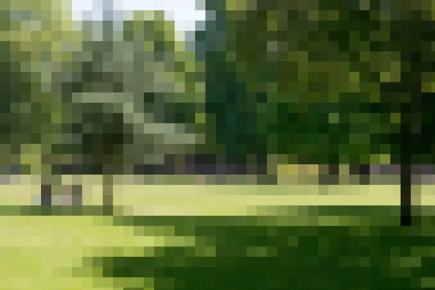 Rustenburgerlaan 81 C Haarlem thumbnail 23