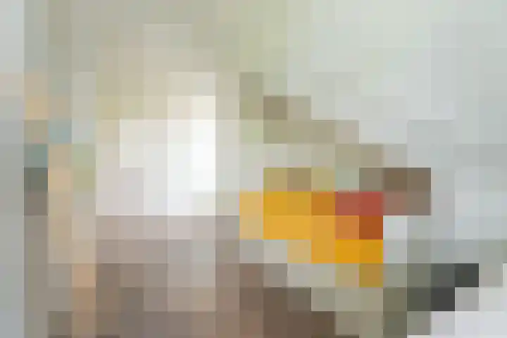 Rustenburgerpad 27 Oegstgeest thumbnail 28
