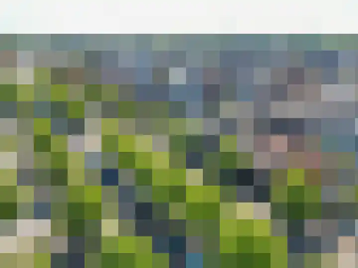 Rustenburgerpad 27 Oegstgeest thumbnail 36