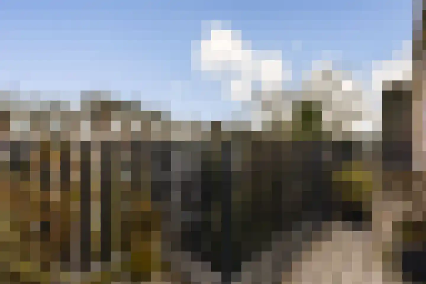 Rustenburgerstraat 127 3 Amsterdam thumbnail 22