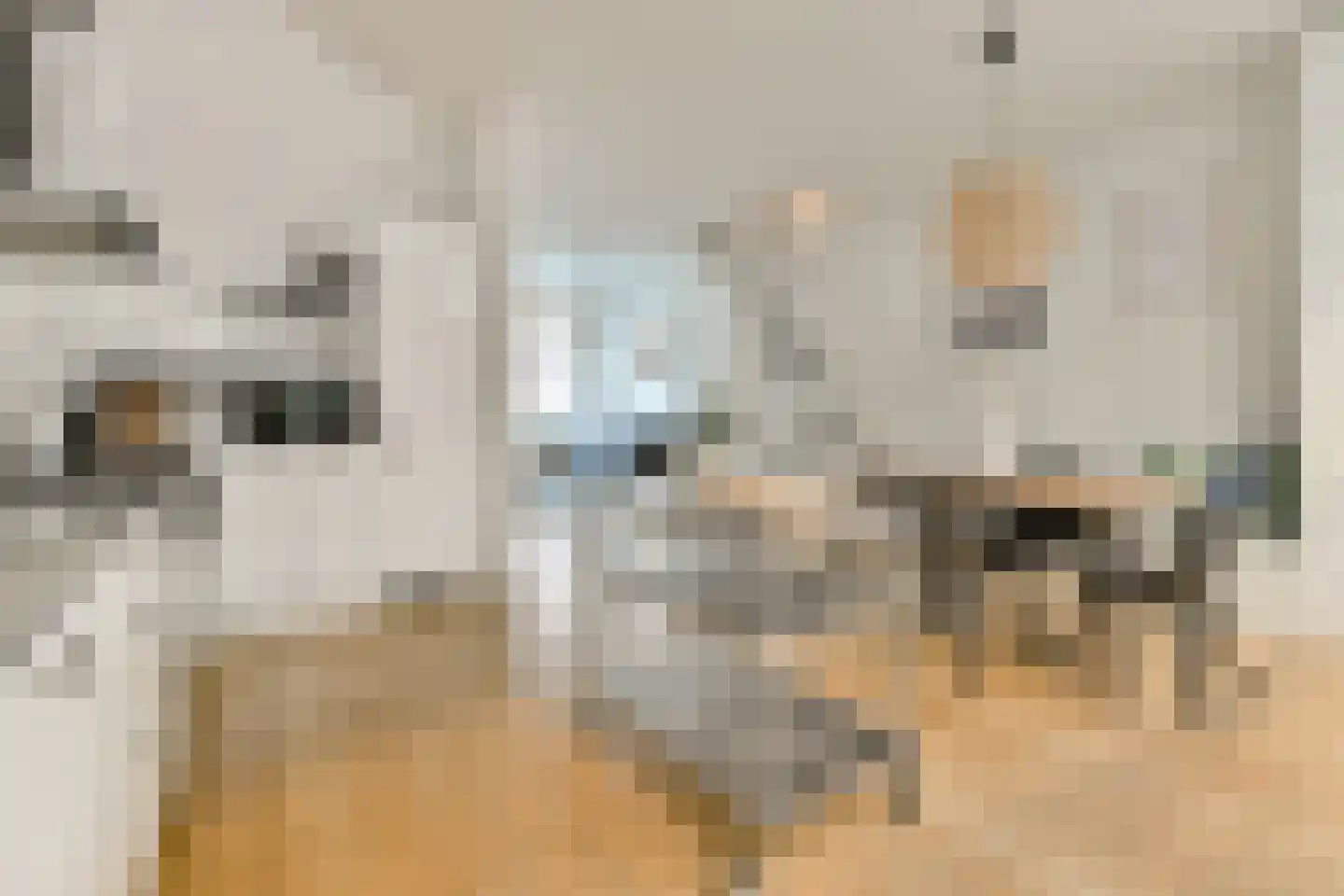 Rustenburgerstraat 128 2 Amsterdam thumbnail 10