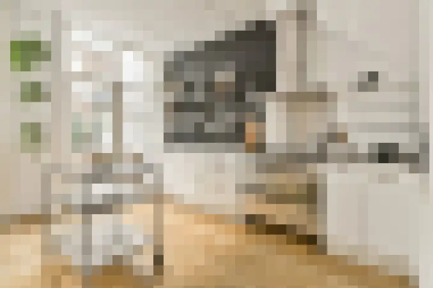 Rustenburgerstraat 128 2 Amsterdam thumbnail 8