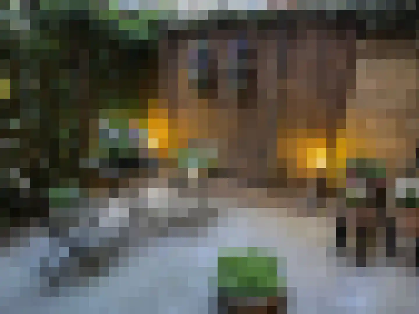 Rustenburgerstraat 130 A Amsterdam thumbnail 11