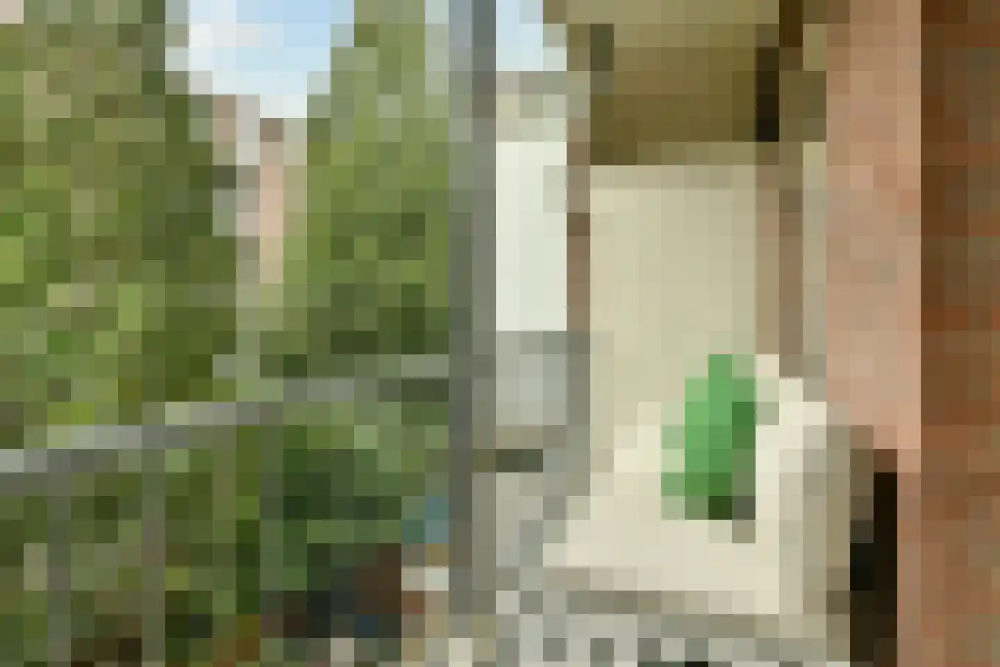 Rustenburgerstraat 131 H Amsterdam thumbnail 12